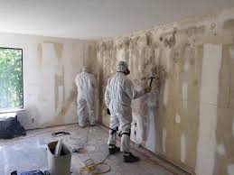 Mold Removal for HVAC Installations in Wylie, TX